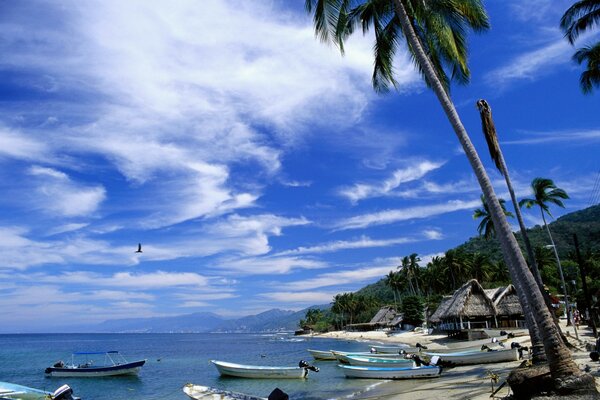 Barcos y pungalo de pie en la playa