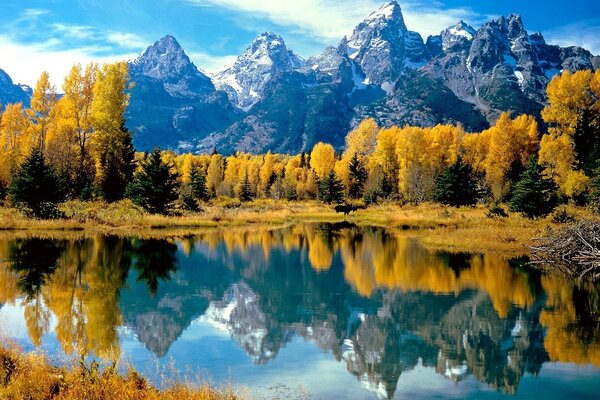 Lake near the autumn forest in the mountains. Blue sky