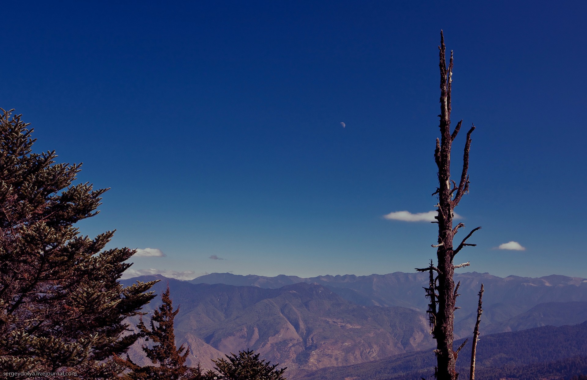 branch mountain sky