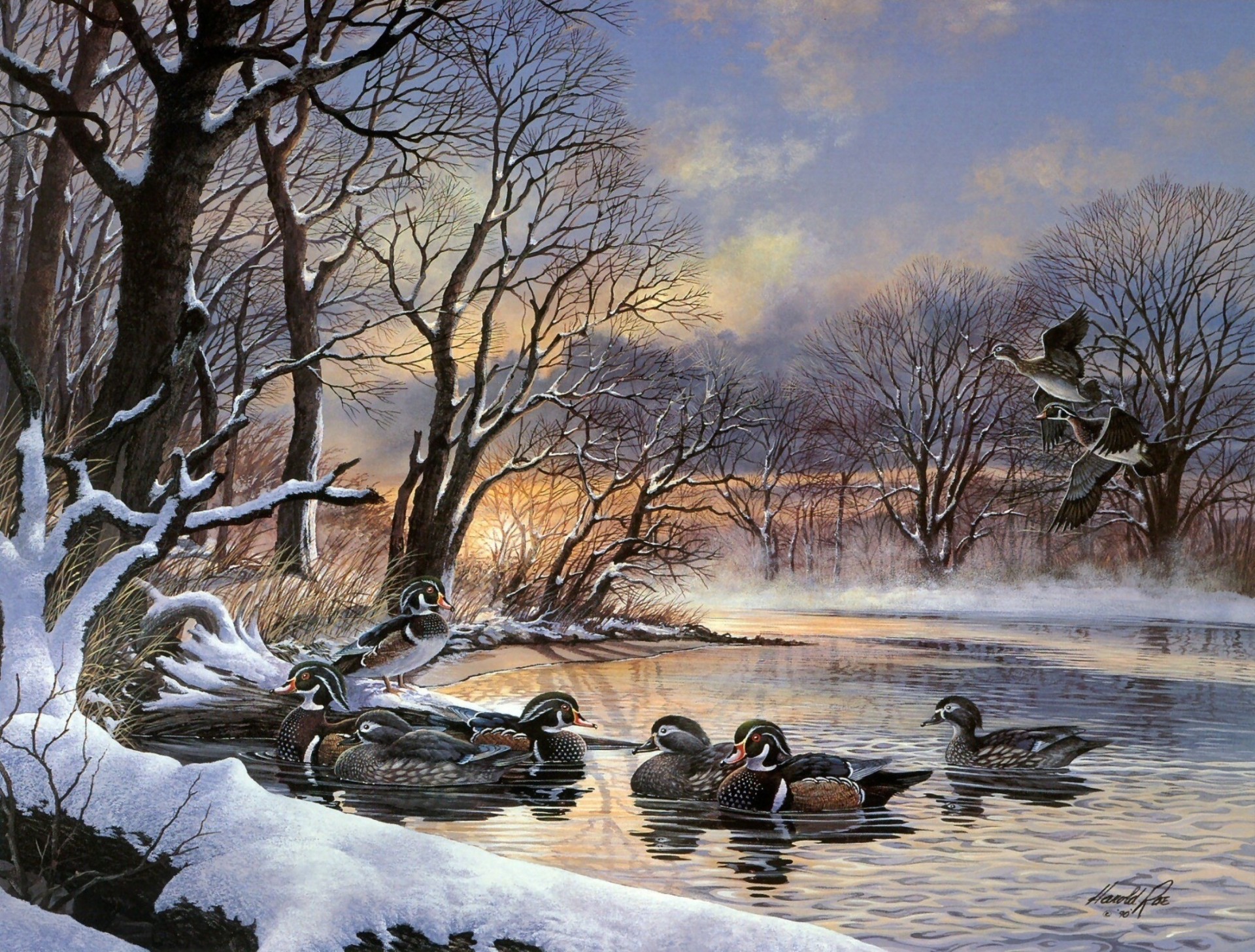 bandada de patos ninja pintura puesta de sol lago central park invierno