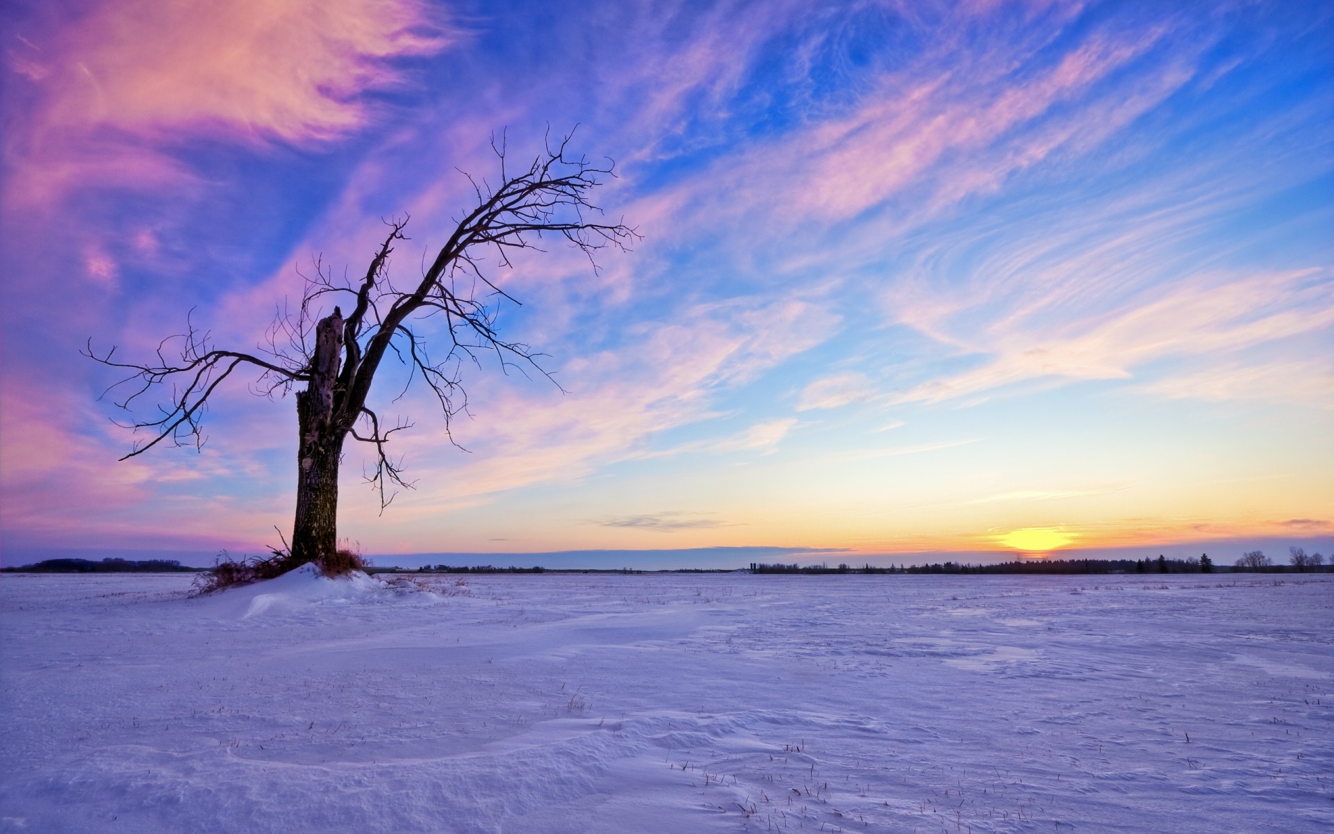 clouds sky snow sunset sun tree winter