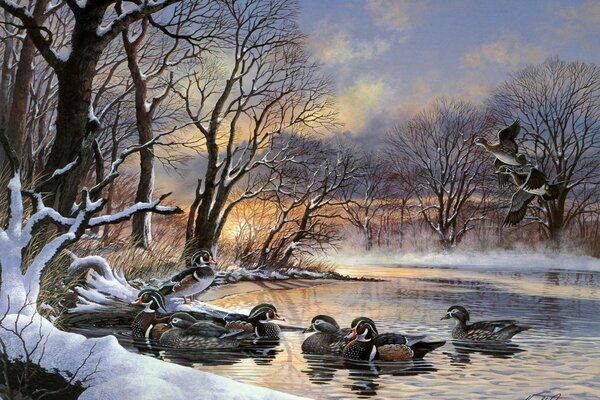 Troupeau de canards coucher de soleil lac hiver