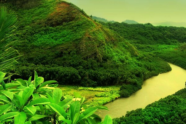 Góra rzeka w kolorze zielonym