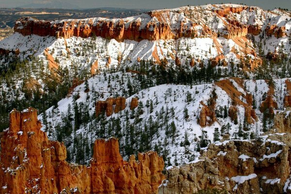 Première neige sur les arbres et les montagnes