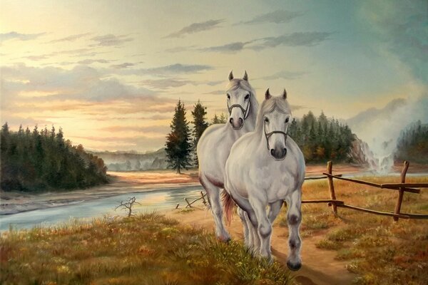 White horses run from the river