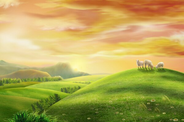 Sheep graze in the meadow of a summer meadow