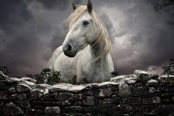 Image of a white horse with a red mane