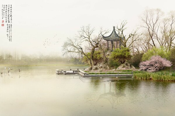 Japanese style gazebo and sakura next to the lake