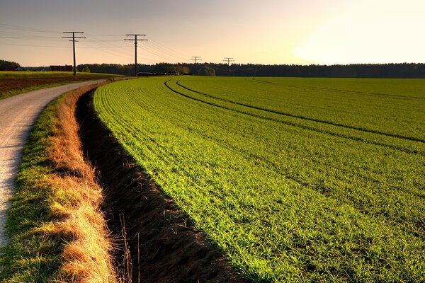 Puesta de sol en el camino entre el campo y el cielo