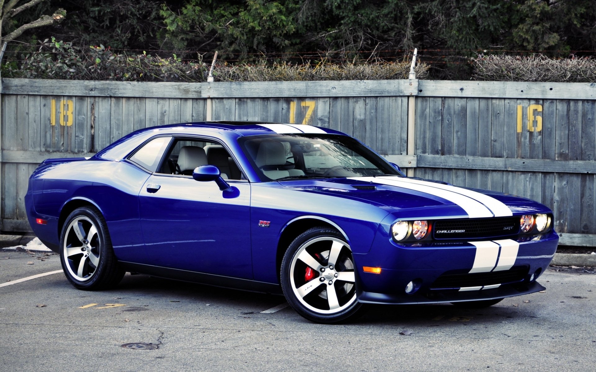 dodge challenger srt8 première édition dodge challenger bleu muscle car muscle car avant