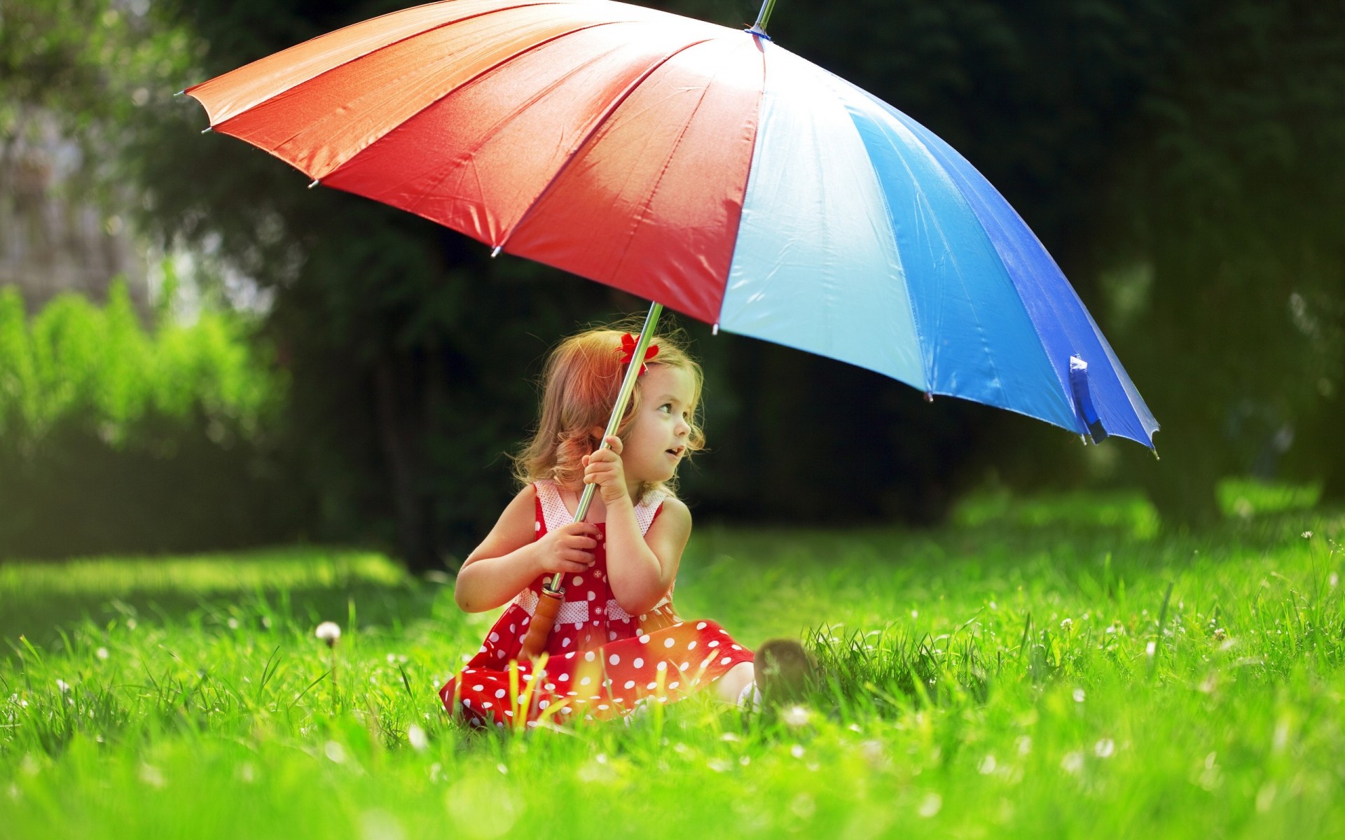 pozytywny dziewczyna park parasol dziecko makro