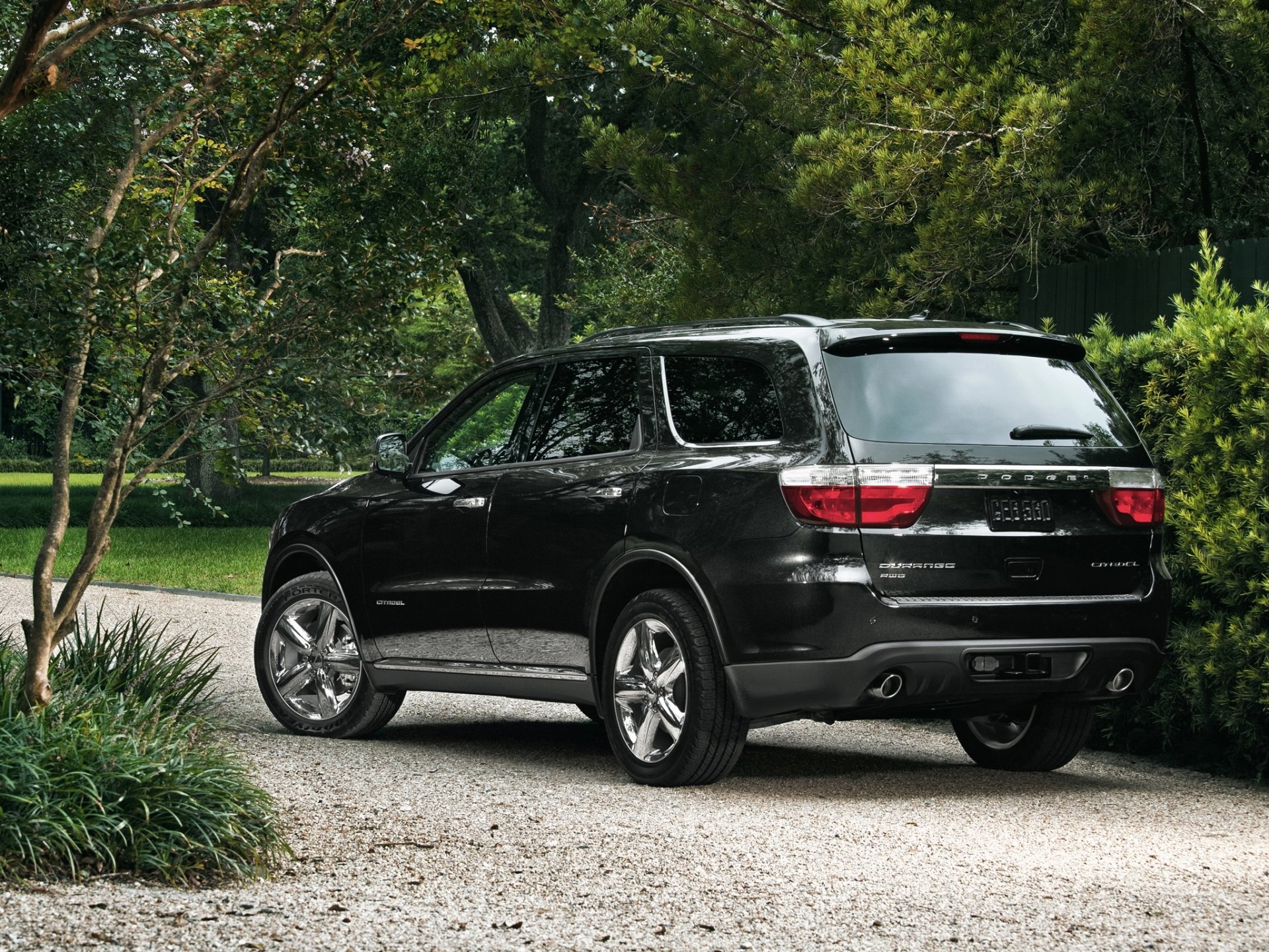 dodge dodge durango jeep rear view road tree