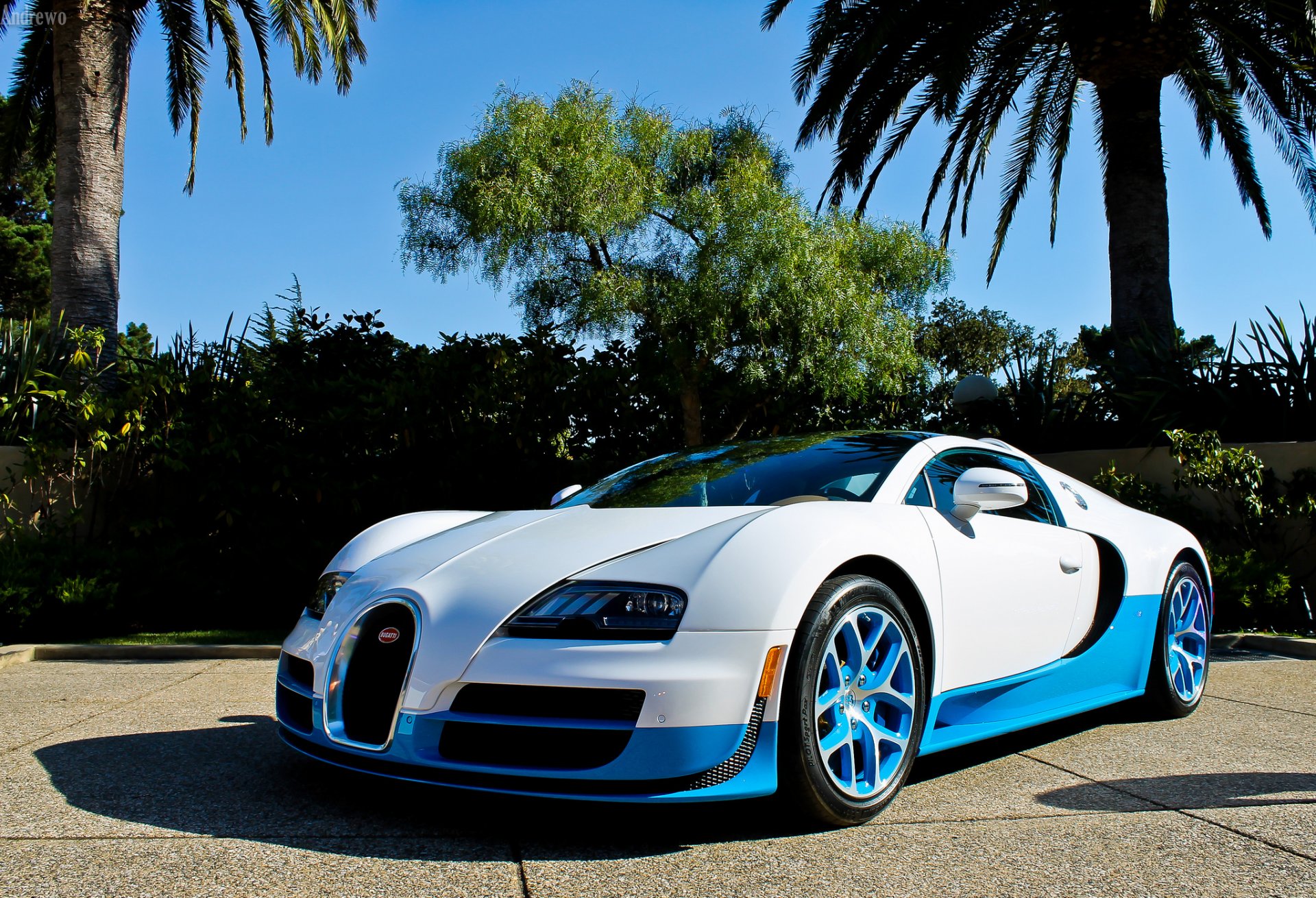 bugatti veyron vitess bugatti veyron blanc bleu palmiers