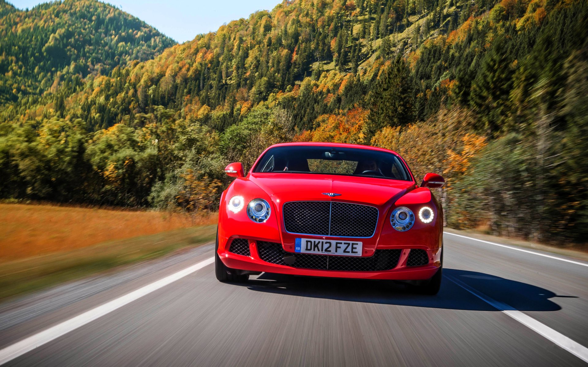 bentley continental gt rosso luci auto numero anteriore cofano alberi foresta strada