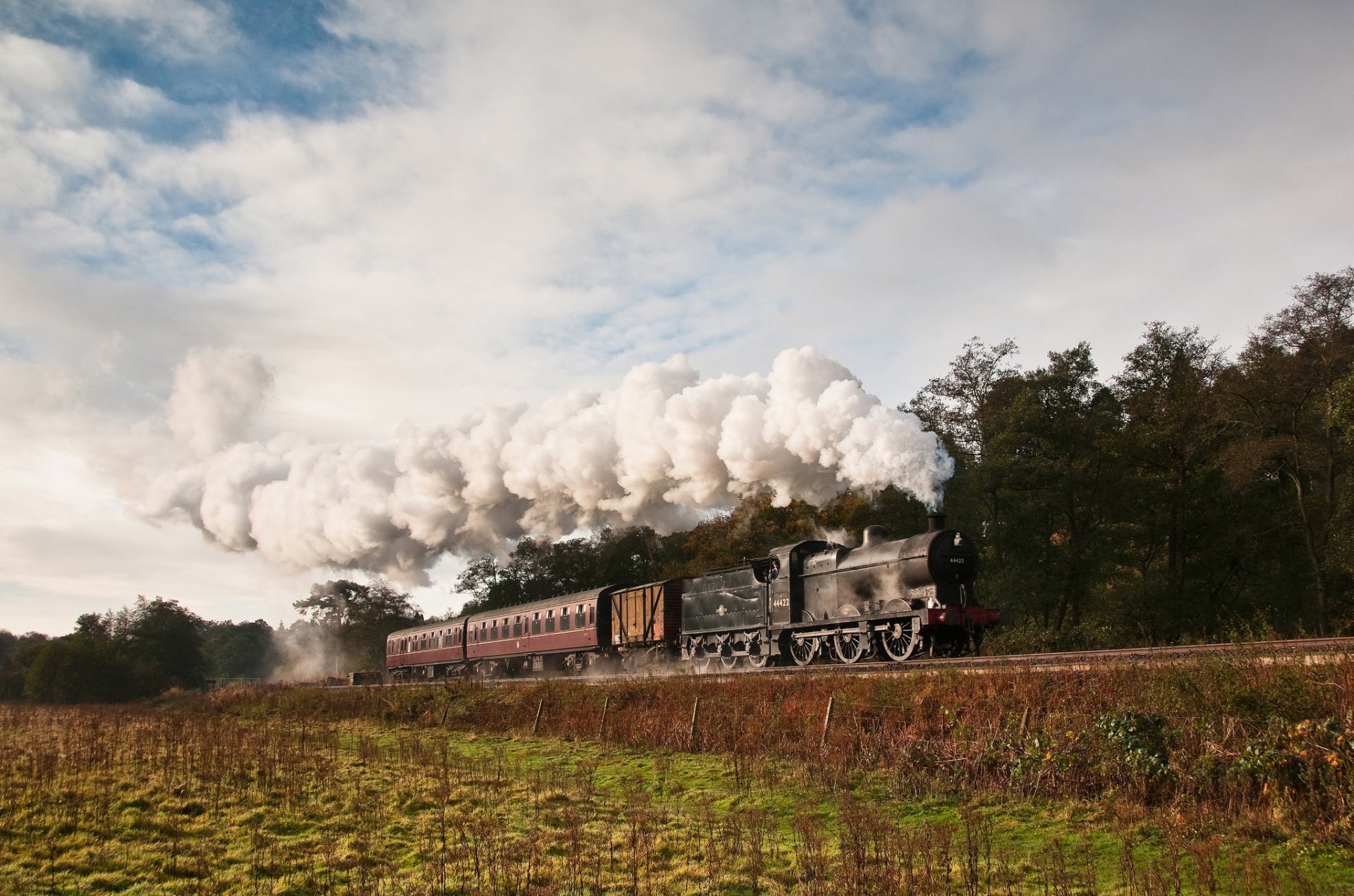 treno locomotiva a vapore fumo carri natura