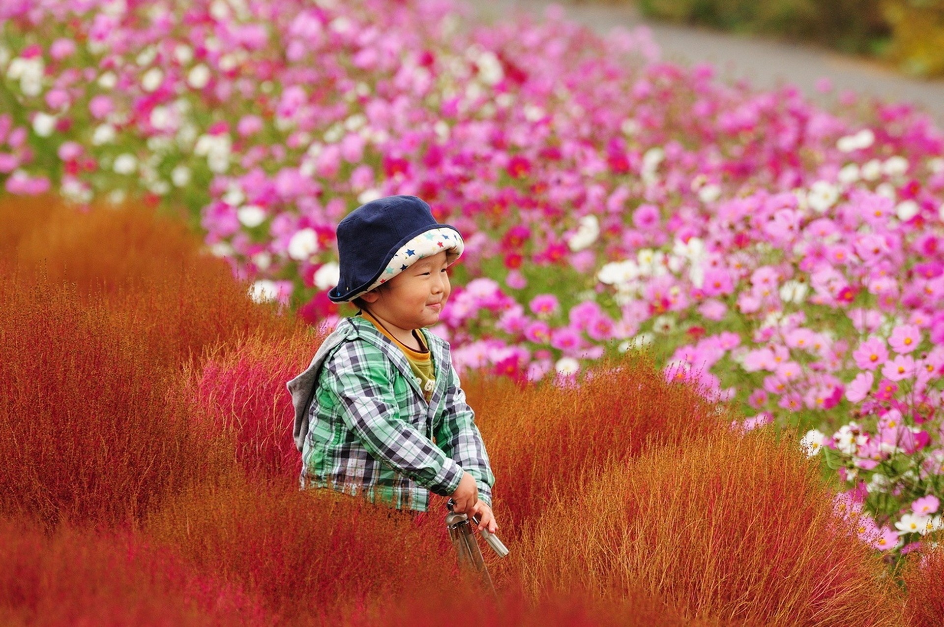 belleza parque tokio flores bebé