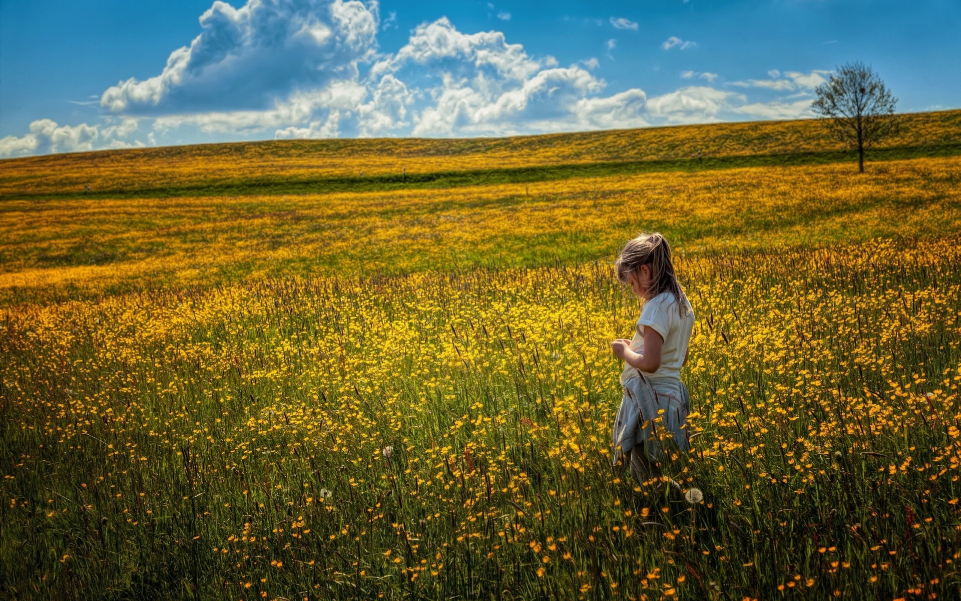 campo estado de ánimo chica flores