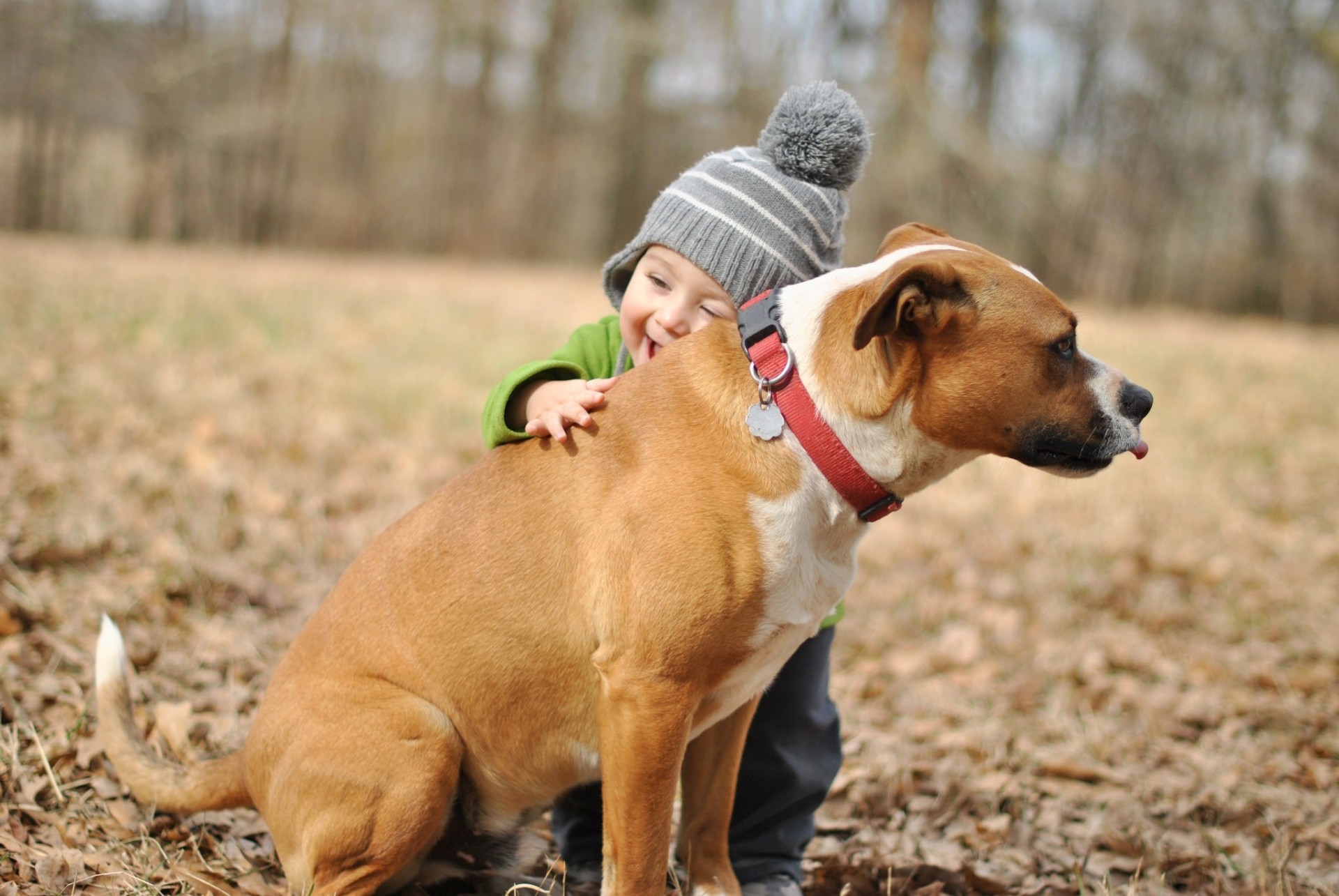 niño alegría perro amigo abrazo estado de ánimo bebé