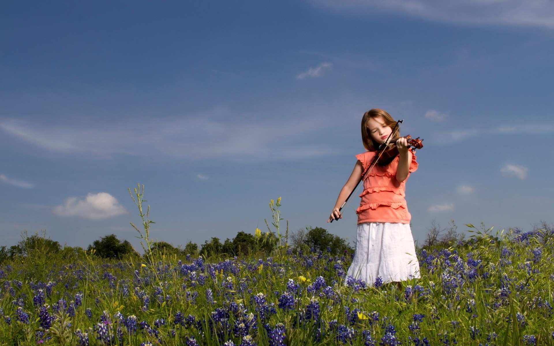 flower violinist violin girl meadow