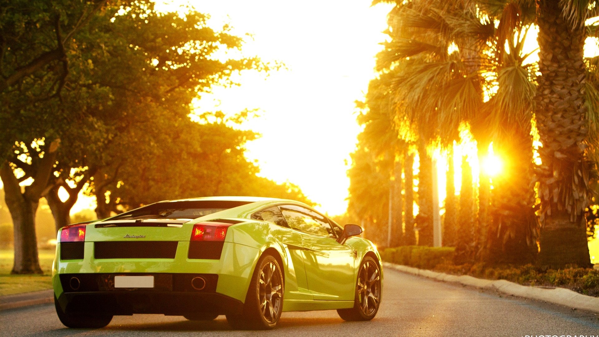 lamborghini gallardo vert voiture de sport soleil voiture lamborghini gallardo palmiers