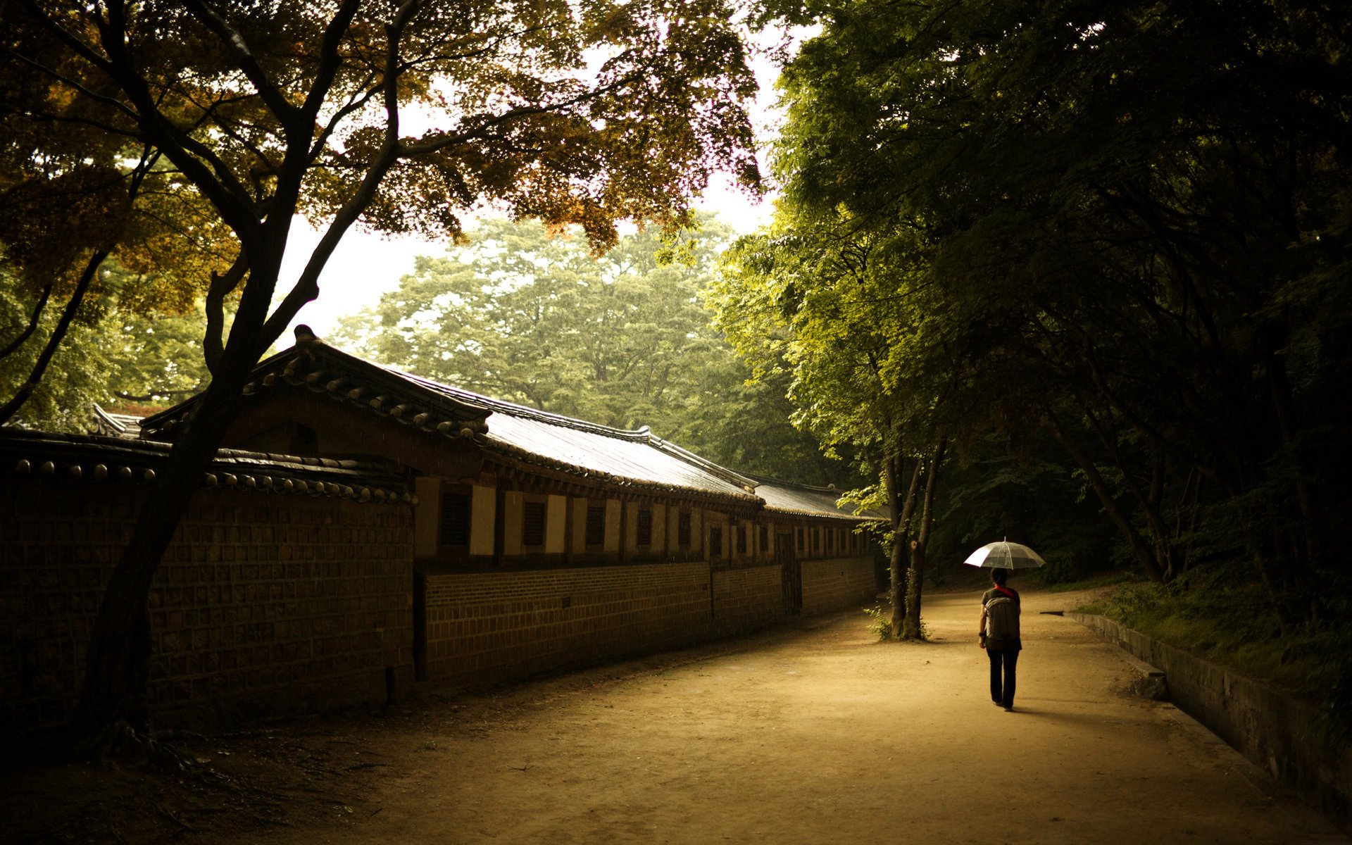 fille palais de changdok mur parapluie