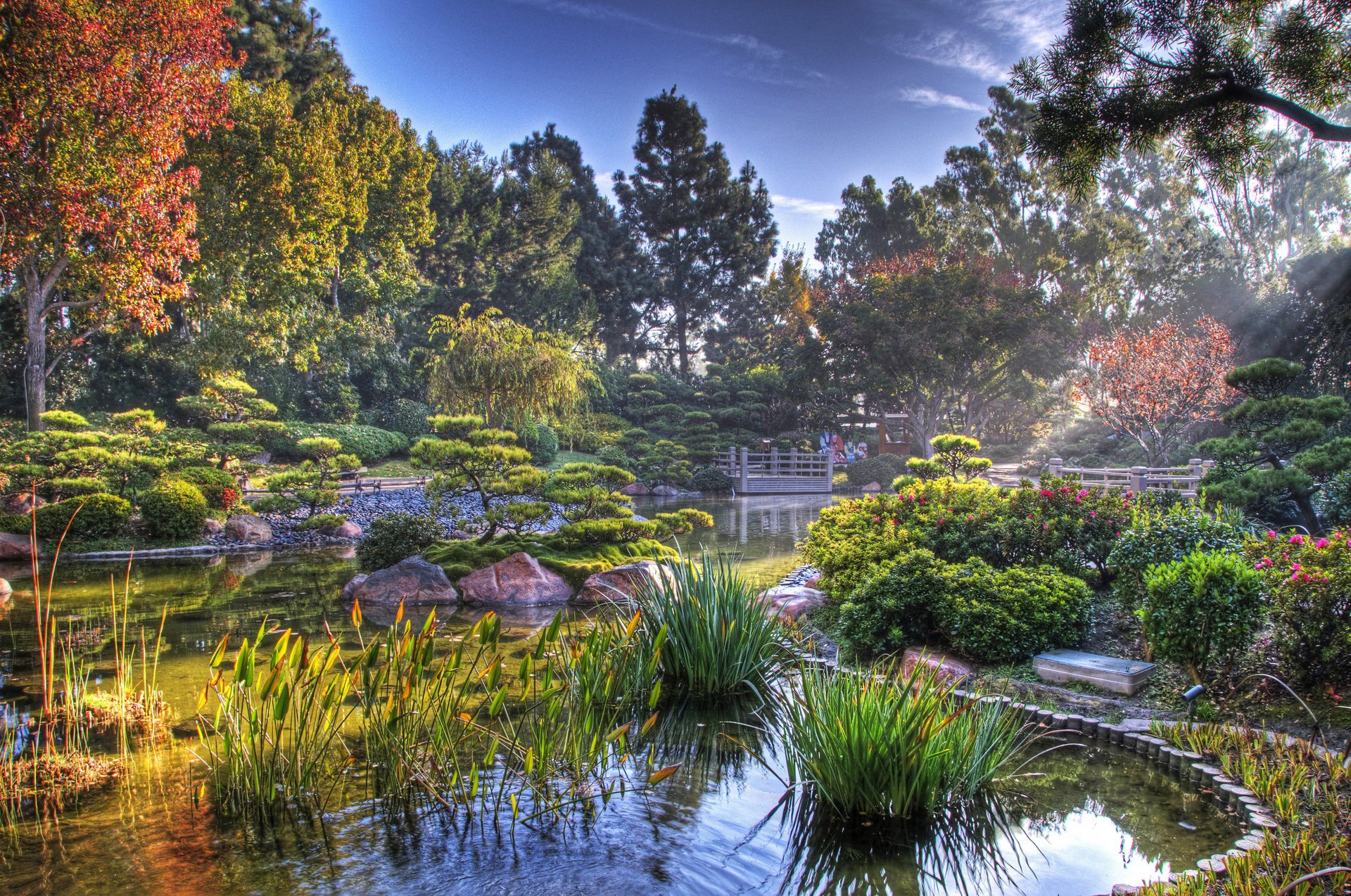 jardín japonés estanque japón