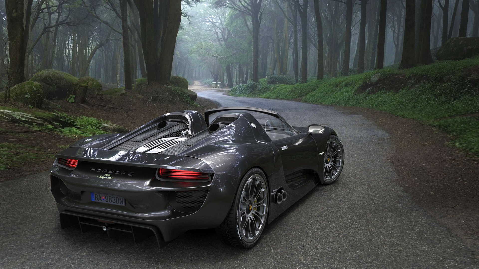 porsche automobile strada foresta