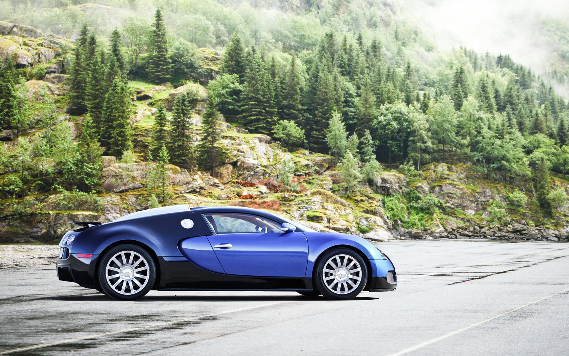 bugatti veyron bugatti veyron supercar avtooboi