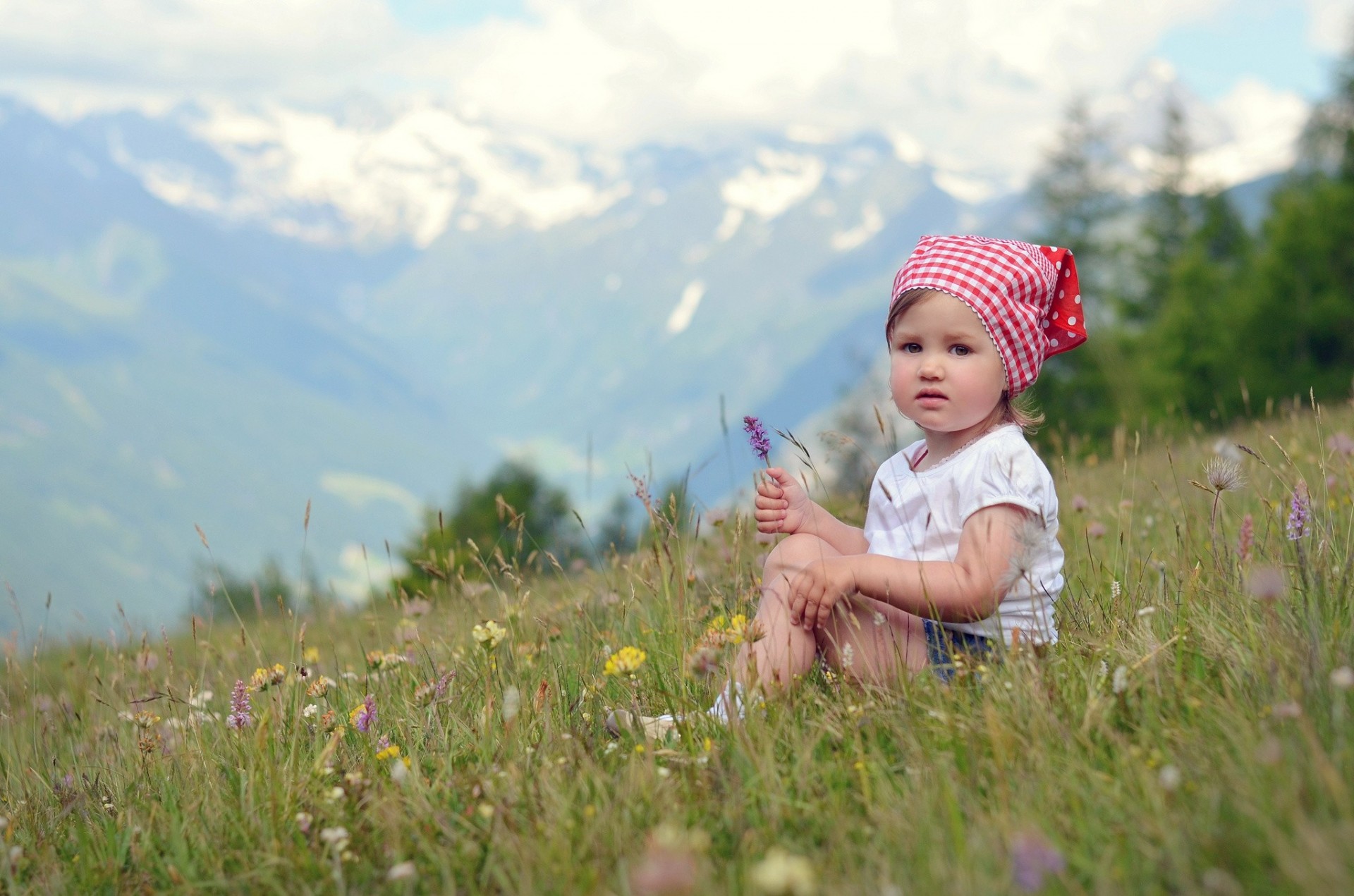 fiori selvatici umore ragazza prato