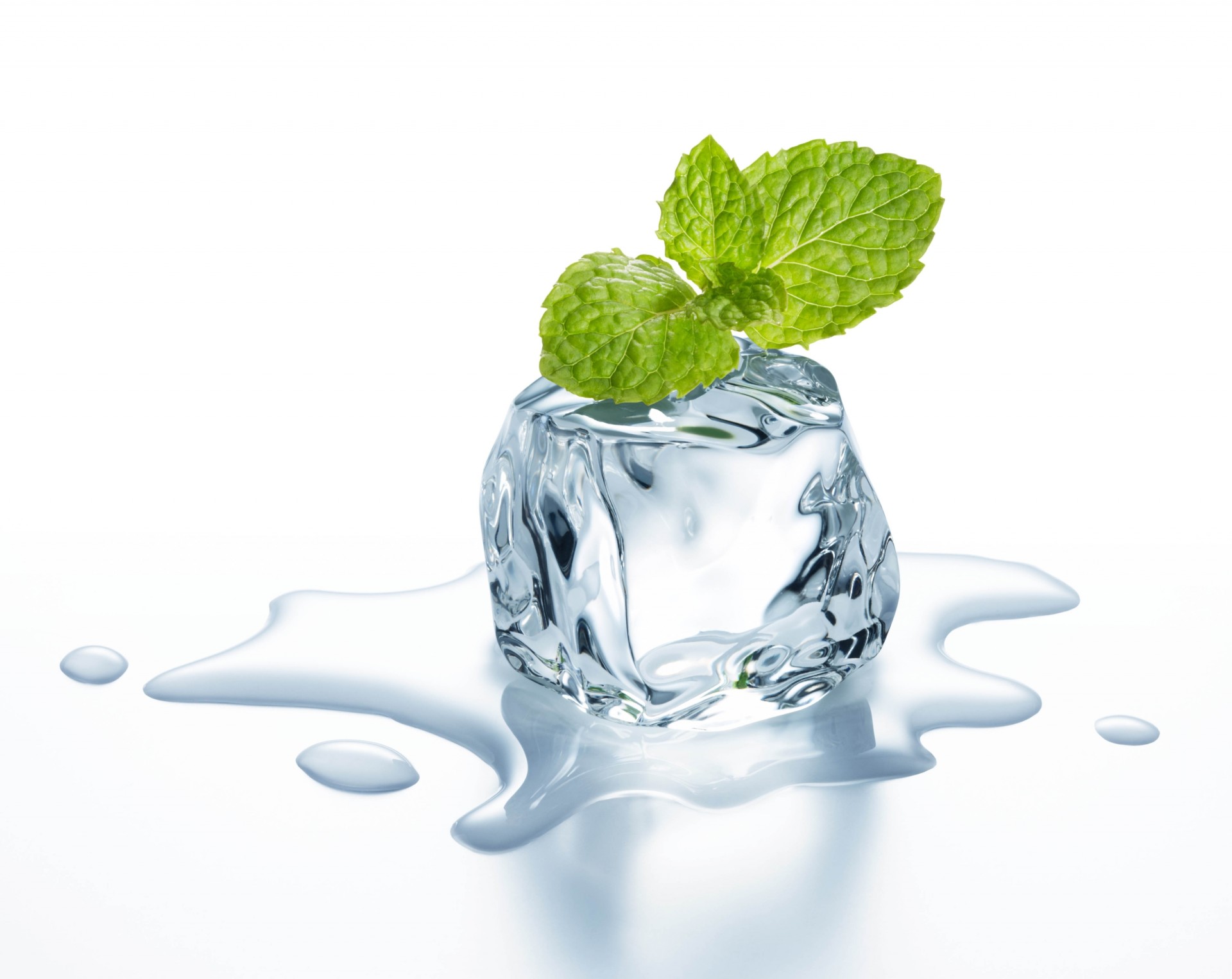 feuille glace eau fond blanc cube menthe