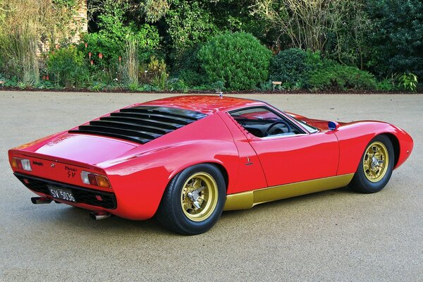 Lamborghini rouge sur fond d arbres