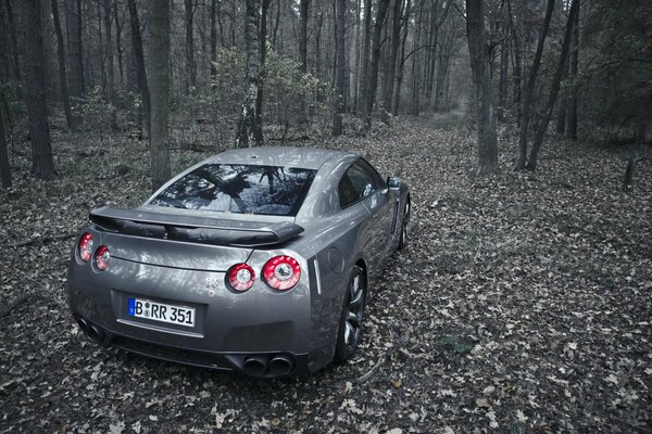 Un nissan gt-r gris se encuentra en el bosque