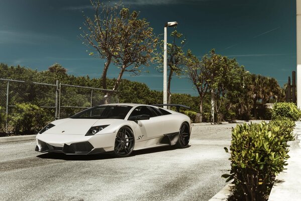 A white Lamborghini stands on an empty road