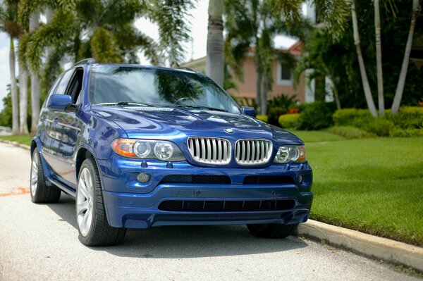 Sporty blue BMW on the road