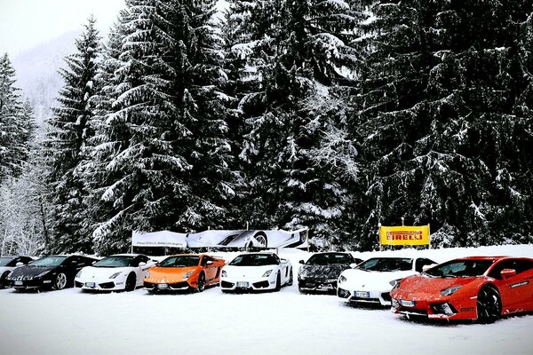 Voitures Lamborghini en hiver sur la neige