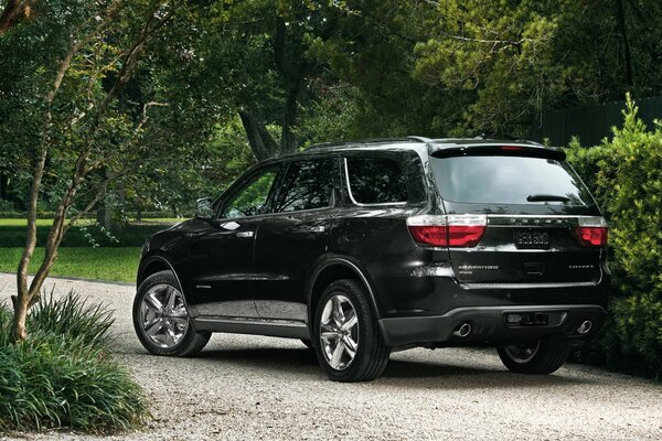 Black Volvo between the trees with a rear view