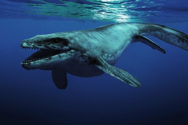 Dans le monde des animaux. Habitant des profondeurs marines