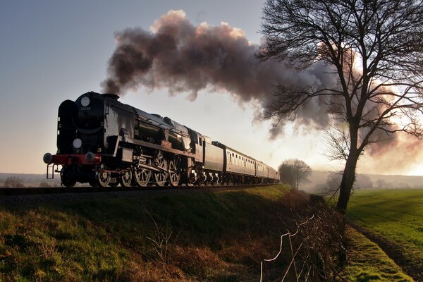 Foto einer Dampflokomotive auf einer Eisenbahn im Feld