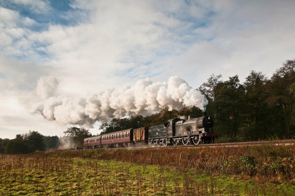 The locomotive rides against the background of nature