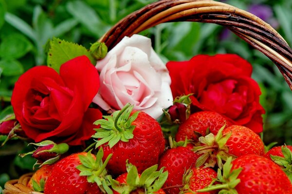 Duftende Erdbeeren im Korb und frische Rosen sehen toll aus