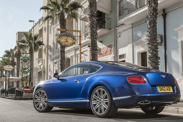 Bentley Coupe, niebieski ze starym miastem