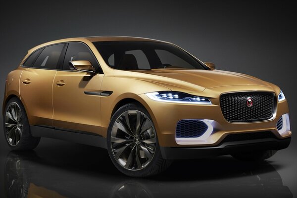 Concepto dorado Jaguar vista frontal