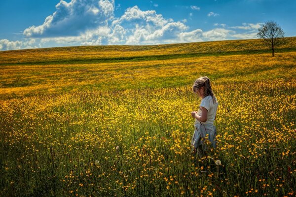 Chica en un campo de verano en un día claro