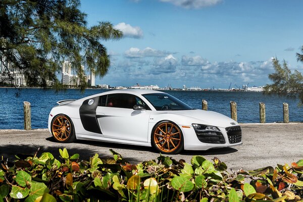 Audi r8 car wallpaper. White audi on the frn of the sea