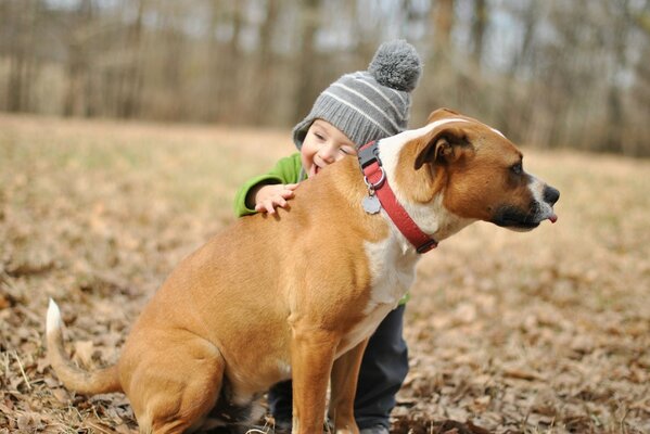 Mały chłopiec przytula psa