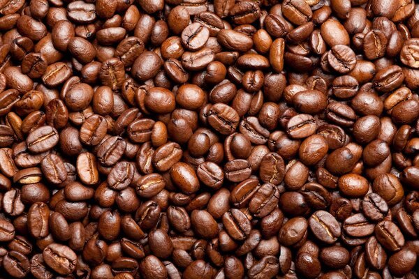 Beaucoup de grains de café émiettés