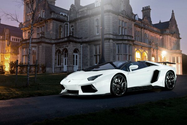 Blanc lamborghini aventador novitec torado