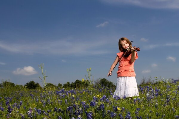 A violinist girl in a flower meadow