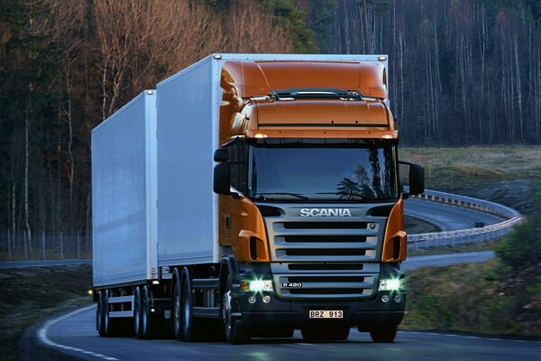 Camion avec remorque sur la route dans la forêt