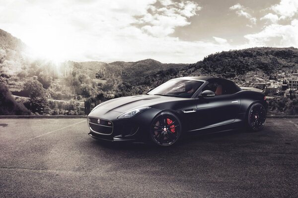 Gorgeous black jaguar in the mountains